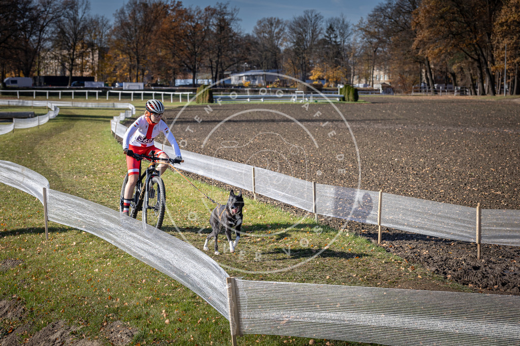 CaniXpix_DV3A7381 | Hundefotografie, Tierfotograf, Pfotenfotografie, Fotoshooting Hund, Hunde Portrait, Hundesport, Hundeportraits, Heideshooting, Hunde, Sportfotograf, Hundefotograf, Turnierhundsport, THS,  - Realisiert mit Pictrs.com
