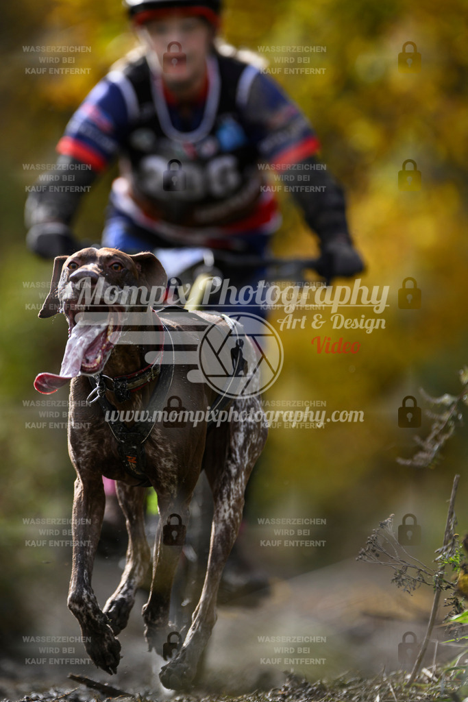 MompixPhotography_ICF_WC_2024_SA_Bike_-337 | PayLife