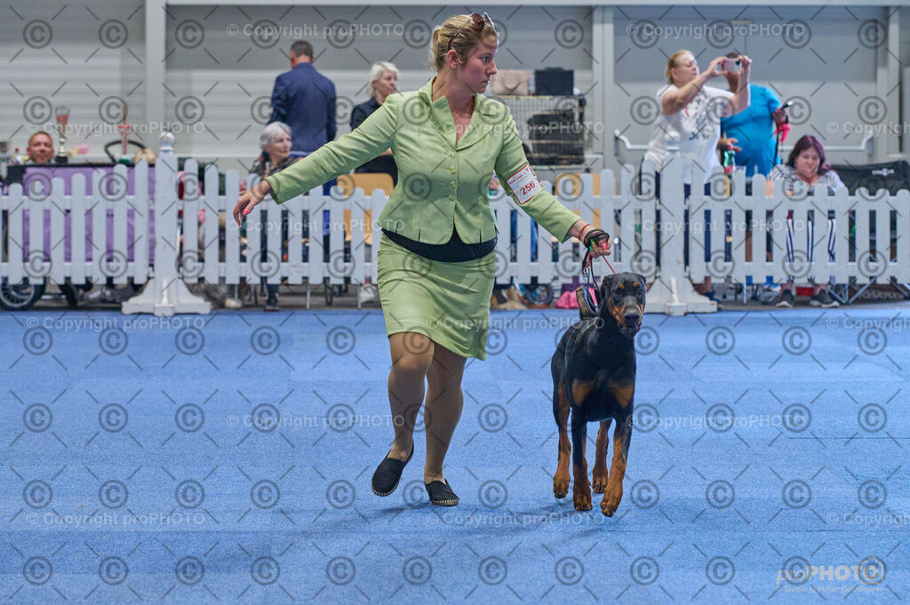 202406_ÖKV-IHA-Tulln24_DSC_4828 | proPHOTO - Realisiert mit Pictrs.com