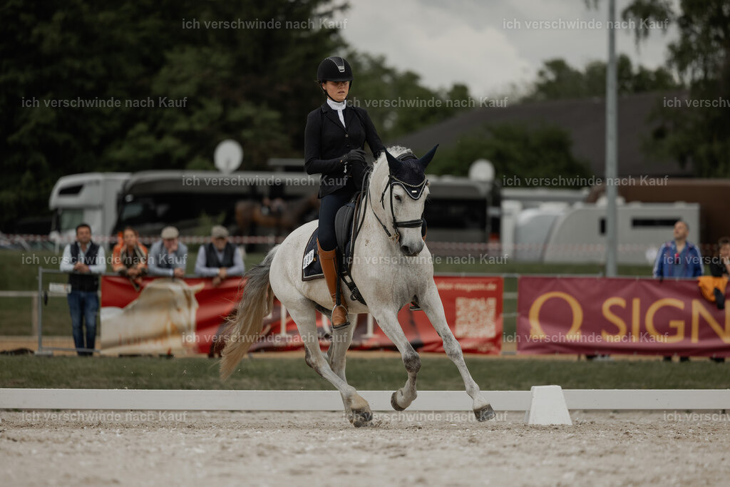 WE_DR_Stoib_336_PI2025_812 | Pferd International München 2025