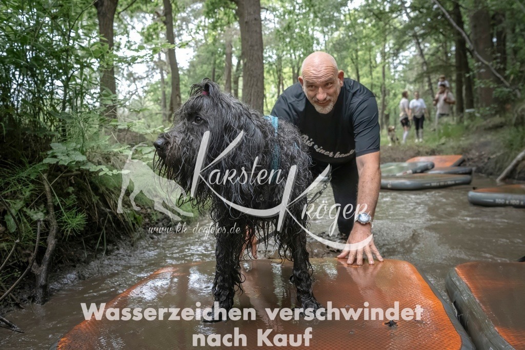 1212_ZZ97816T | kk-dogfotos