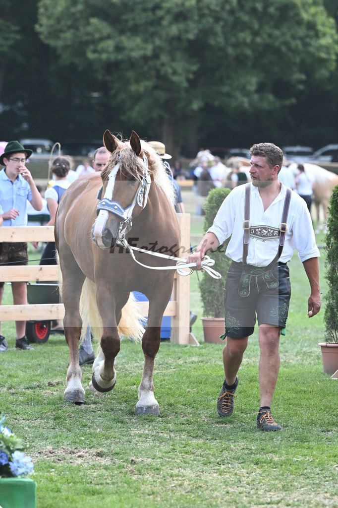 Kat-Nr. 51 Finesse G_Grandauer_20230798 | hf-fotografie - Realisiert mit Pictrs.com