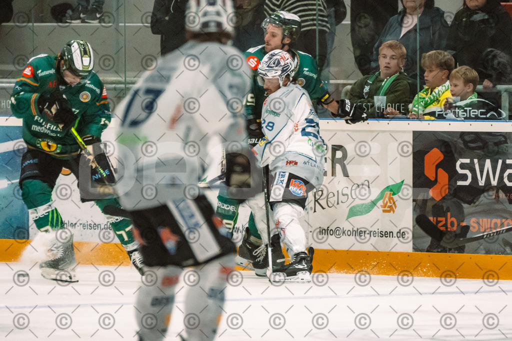 Alligatros_vs_Leipzig_11_09_2026-02 | Die Fotogalerie von Daddel: professionelle Bilder von Sport, Events und Unternehmen aus Franken. Jetzt Galerien durchstöbern und Lieblingsfotos bestellen. - Realisiert mit Pictrs.com