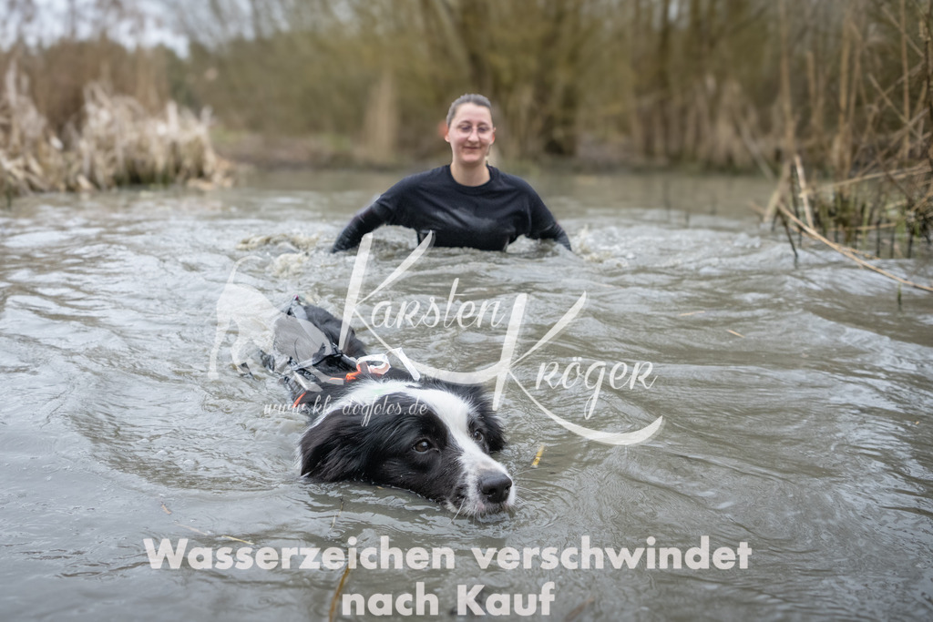 1039_ZZ91834 | kk-dogfotos