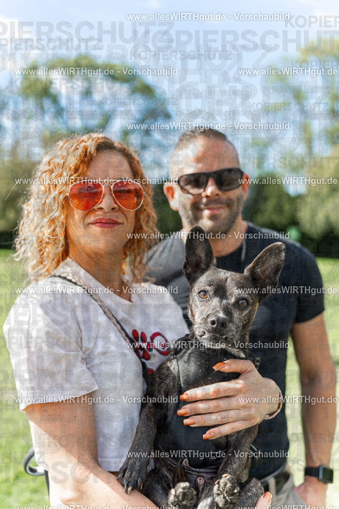 Hundeschwimmen_Volksbad_2026-allesWIRTHgut_Tierfotografie-2609061528-7R501563-2 | Professionelle Tierfotografie in Mönchengladbach von Daniel Wirth (allesWIRTHgut). Liebevolle & natürliche Bilder von Hunden & Katzen für unvergessliche Erinnerungen.