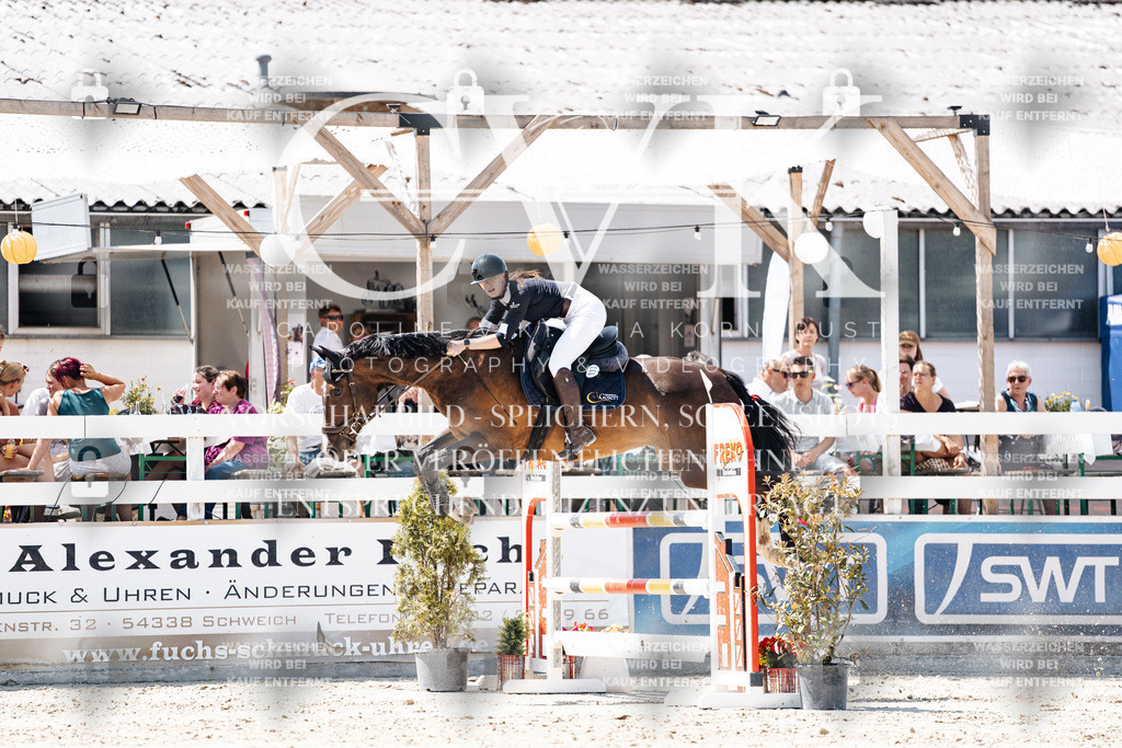 CK909837 | Turnierfotografie Pferdefotografie Trier Rheinland-Pfalz Pferdesport Reitsport Tierfotografie Sportfotografie Pferdevideo Pferdevideografie Equestrianvideography equestrianphotography  - Realisiert mit Pictrs.com
