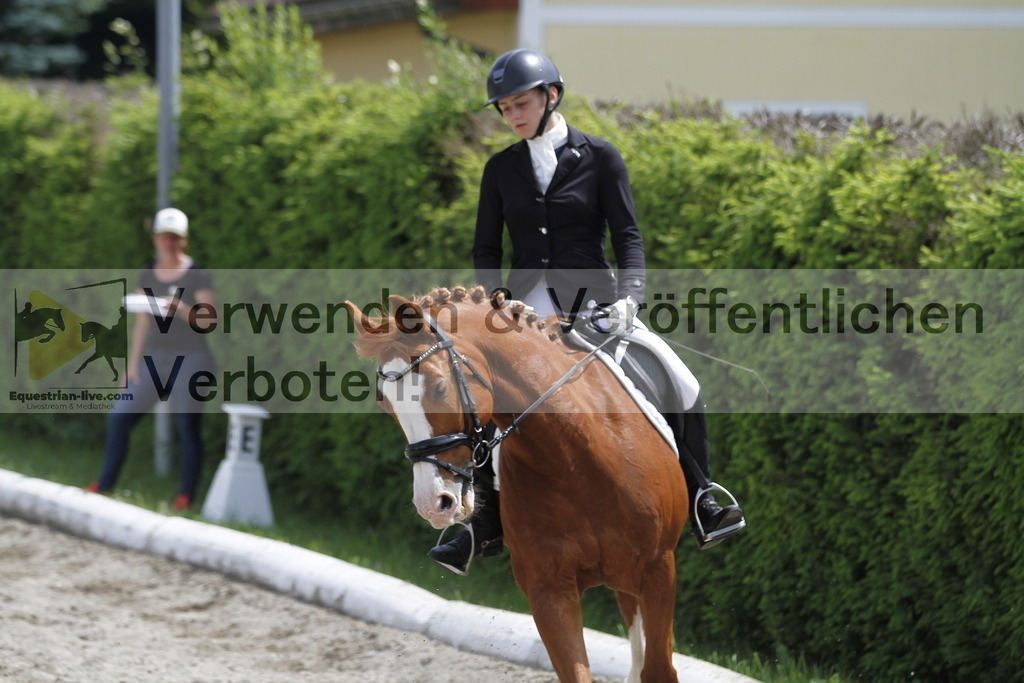 _MG_8695 | equestrian-live-com