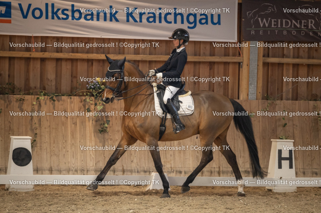 _D5A6600 | Emotionale Pferde- & People-Fotografie rund um Heidelberg, Leimen & Umgebung. Natürliche Fotos von Pferd, Mensch & Familie. Jetzt Termin sichern!