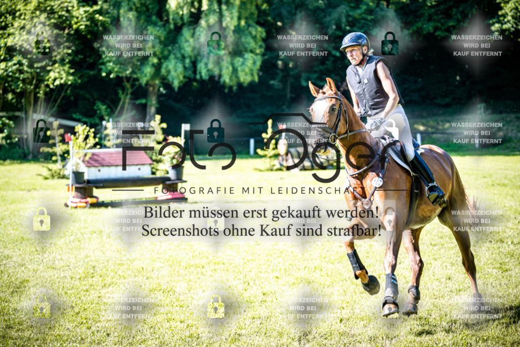2026-05 - Melle Oldendorf-3-0057 | Entdecke hochwertige Reitturnierfotos von Foto Oger. Professionell, emotional und authentisch – jetzt Lieblingsmomente im Shop bestellen.Deutschlandweite Turnierfotografie. - Realisiert mit Pictrs.com