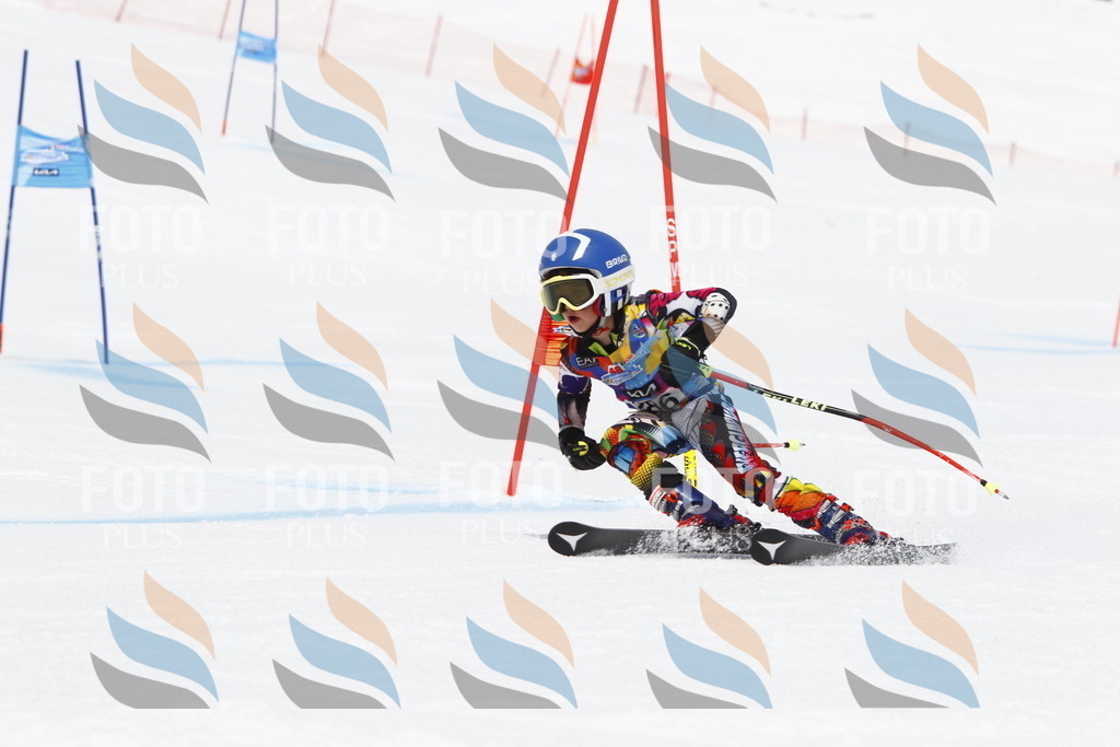 _U3G7173 | holidayphoto