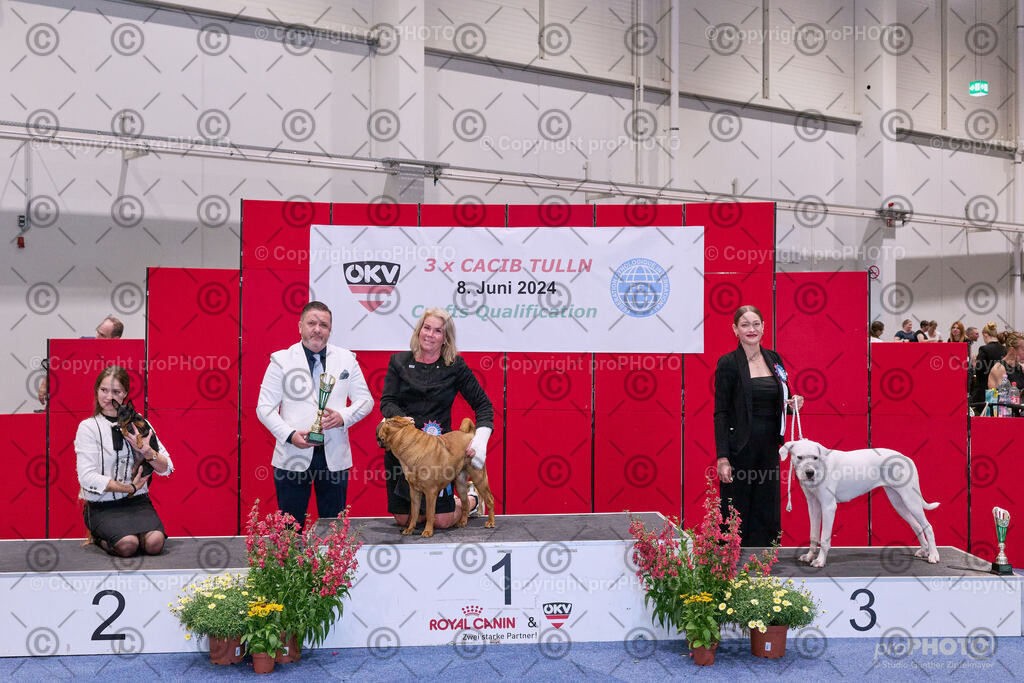 202406_ÖKV-IHA-Tulln24_NZ9_8614 | proPHOTO - Realisiert mit Pictrs.com