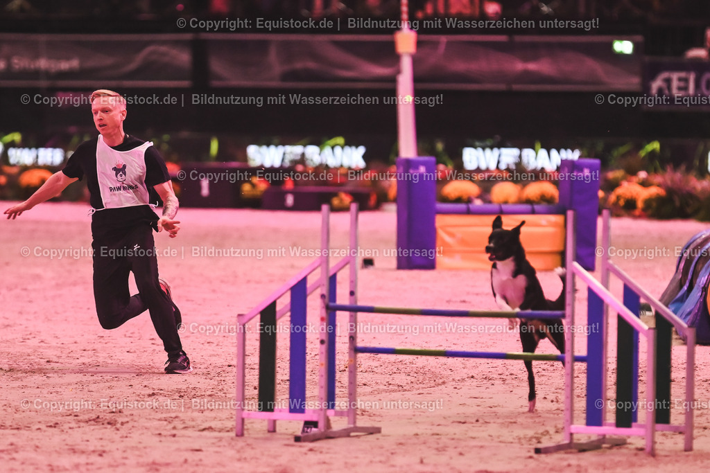 20241113_Showabend_TOMsPiC_0591 | Foto: Thomas Hartig