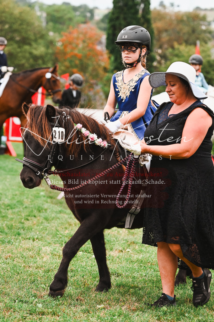 DSC_7310 | Pferde- und Turnierfotografie in Westsachsen. Pferdeportraits, Auftragszeichnungen und intuitive Kunst.