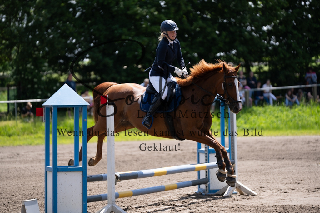 A7V04477 | Pferdefotograf