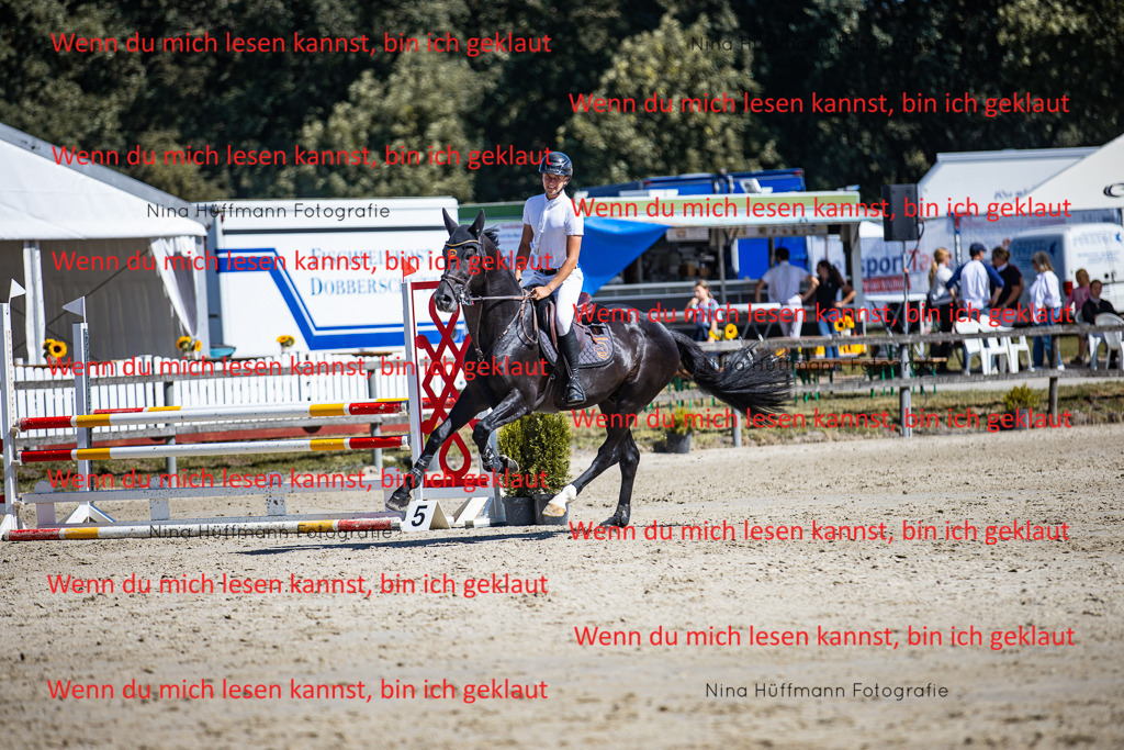BK1A5602 | Turnierbilder Turnierfotos Nina Hüffmann Turnierfotografie Pferdefotografie Tierzeichnung Haustierzeichnung Pferdezeichnung Hundezeichnung Videograf  - Realisiert mit Pictrs.com