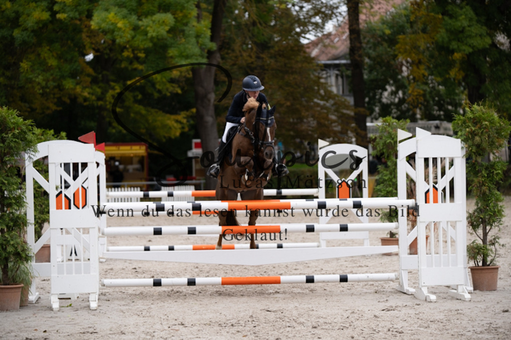 A7V09173 | Pferdefotograf