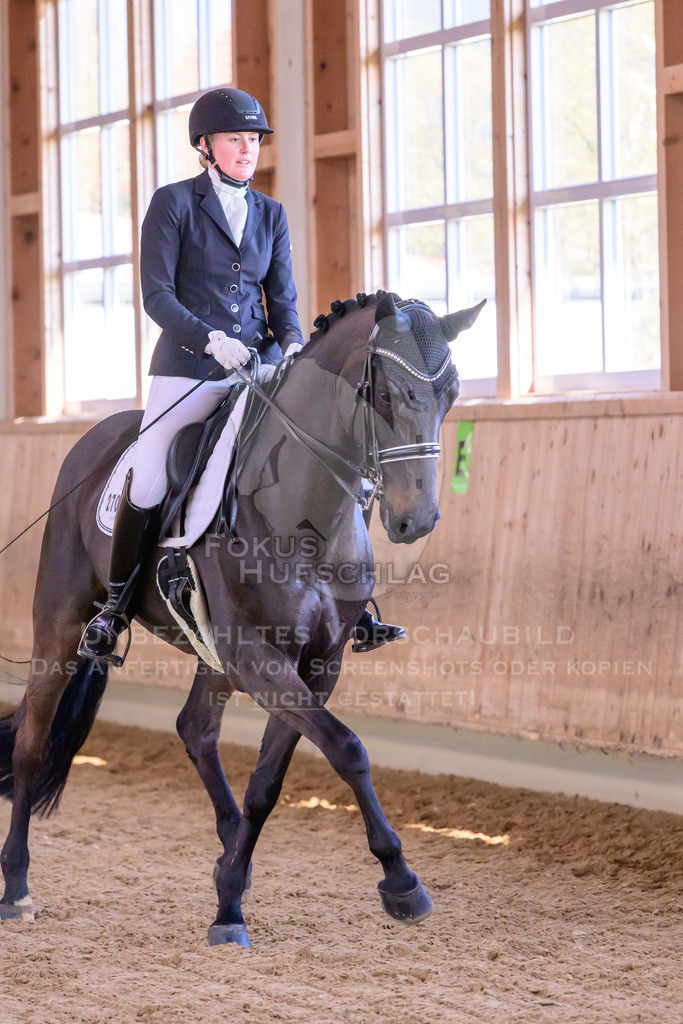 11042026-Mammendorf-Prfg28-2-0433 | Fokus Hufschlag Fotografie - Realisiert mit Pictrs.com