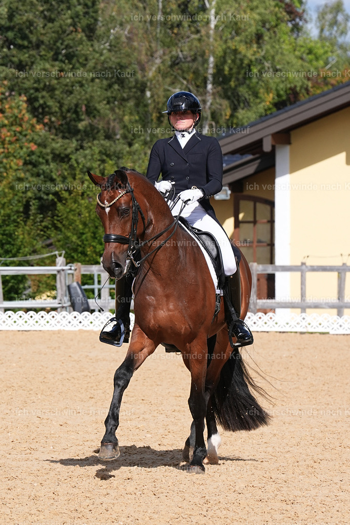 09_2-100-DRESSUR  S_  -Marixx-5977 | working equitationturnier fotograf videograf stoibphotography marixx film working equitation deutschland reitsport turnierfotografie eventfotografie equestrian events