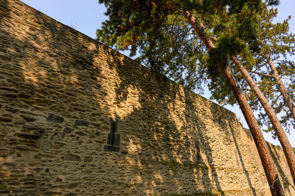 20250812-NZ8_0702 | Online Foto-Shop von André Engelhardt, Filmemacher und Fotograf. Fine Art Prints, Kunstdrucke, Fotogeschenke, Souvenirs von Mosel, Rhein und mehr. 