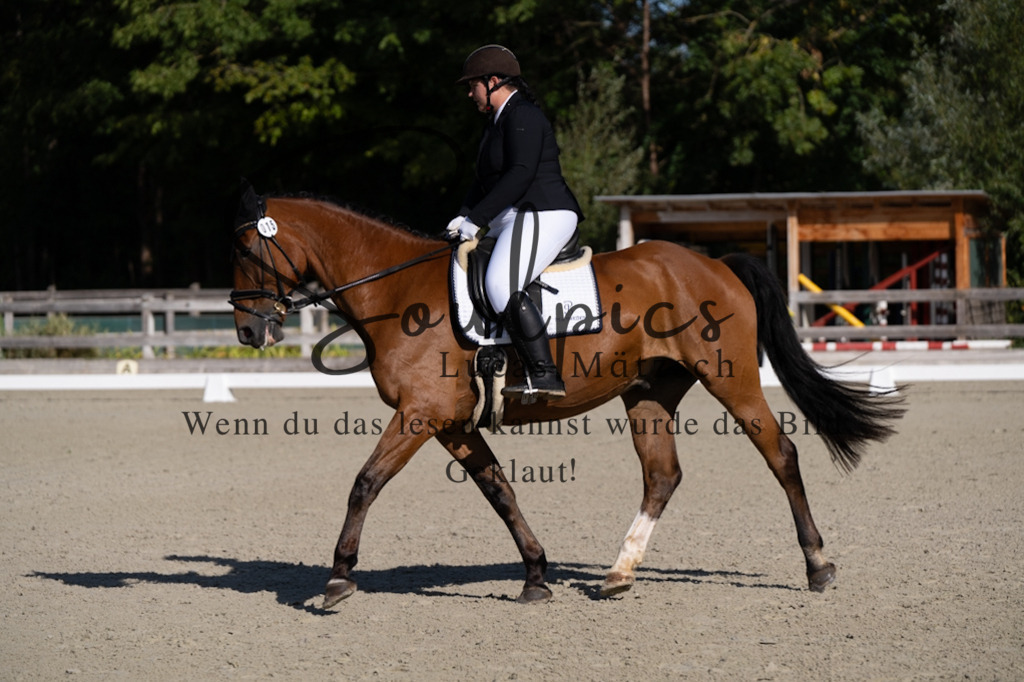 A7V06907 | Turnier/Reitfotograf