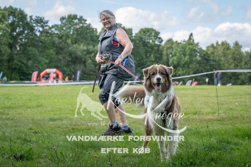 1549_ZZ94455 | kk-dogfotos