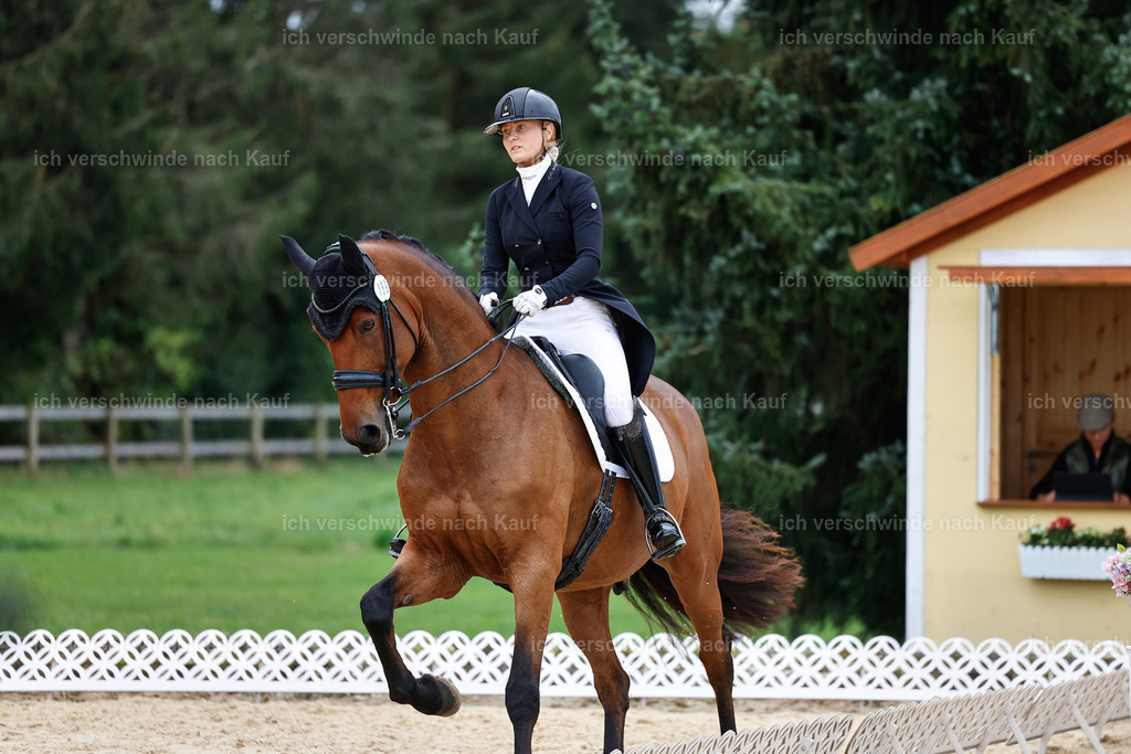 11-189-Dressur S___-StoibPH-925 | working equitationturnier fotograf videograf stoibphotography marixx film working equitation deutschland reitsport turnierfotografie eventfotografie equestrian events