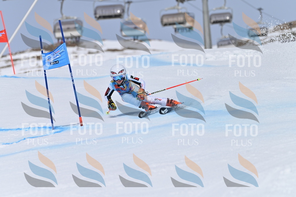 BGV_3620 | holidayphoto