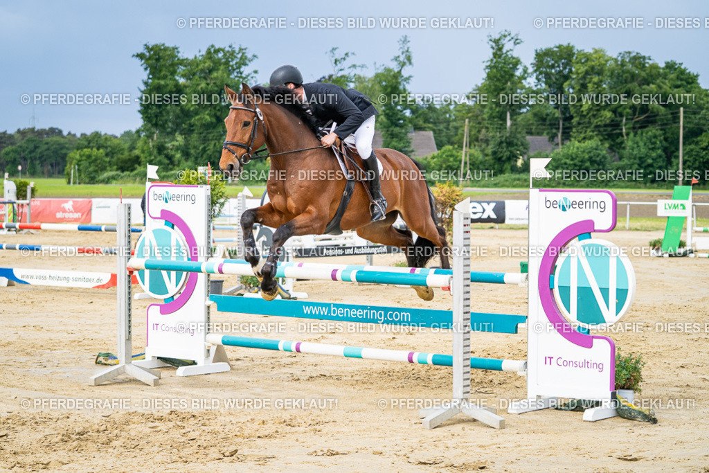 DSC03798 | Pferdegrafie