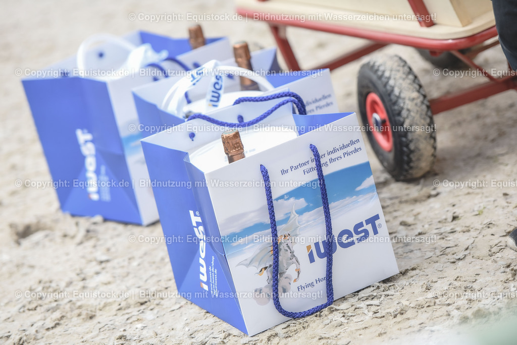 20230514_CCI4_Springen_0417 | equistock