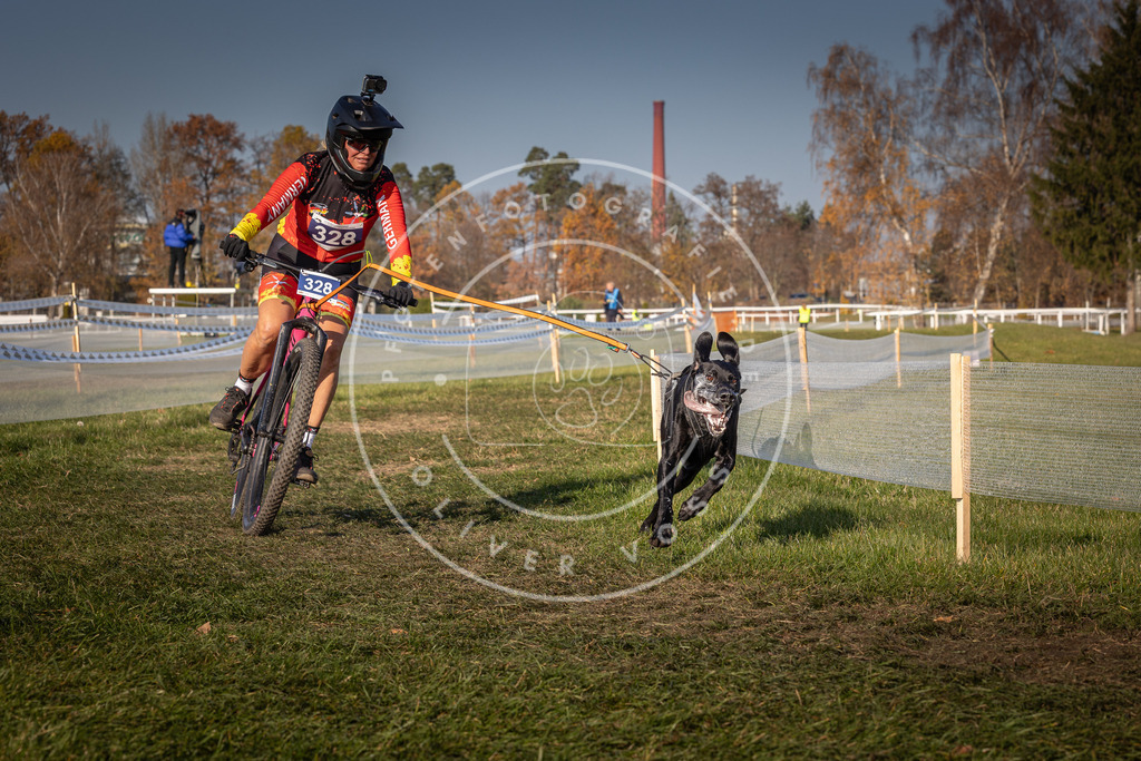CaniXpix_0L8A7541 | Hundefotografie, Tierfotograf, Pfotenfotografie, Fotoshooting Hund, Hunde Portrait, Hundesport, Hundeportraits, Heideshooting, Hunde, Sportfotograf, Hundefotograf, Turnierhundsport, THS,  - Realisiert mit Pictrs.com