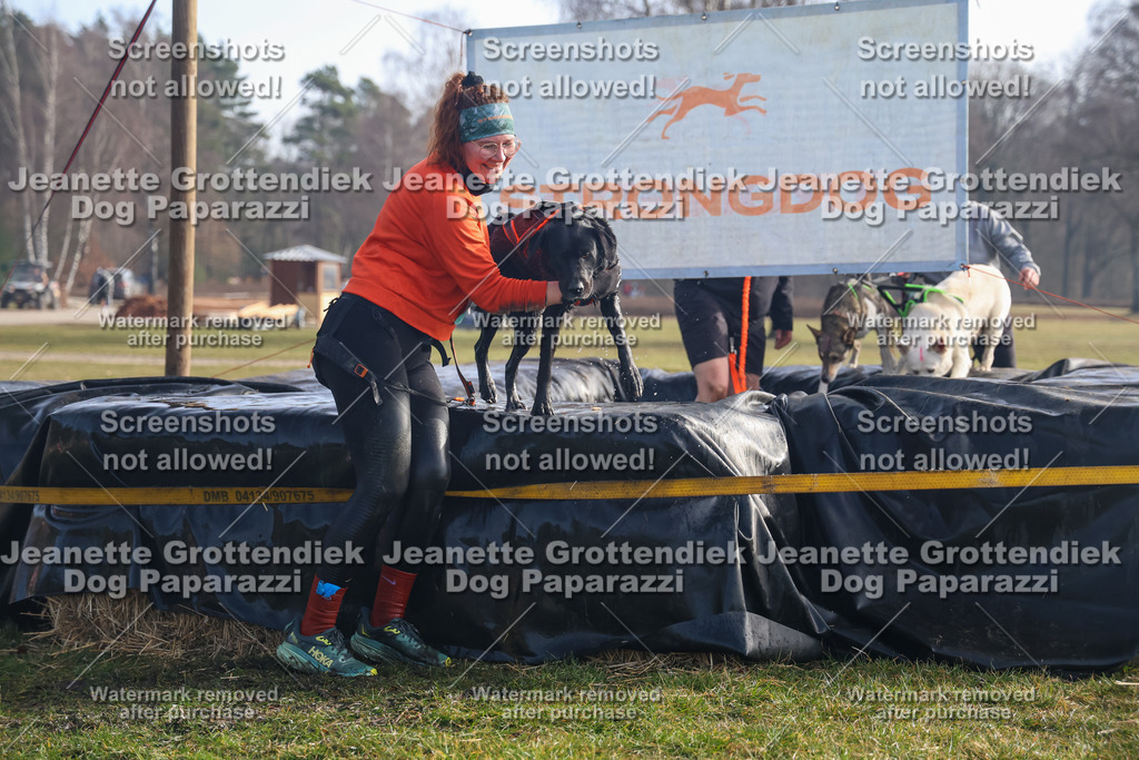 Dog Paparazzi - Strongdog North Mrz26-378 | Dog Paparazzi Jeanette Grottendiek Fotografie & Videografie - Realisiert mit Pictrs.com