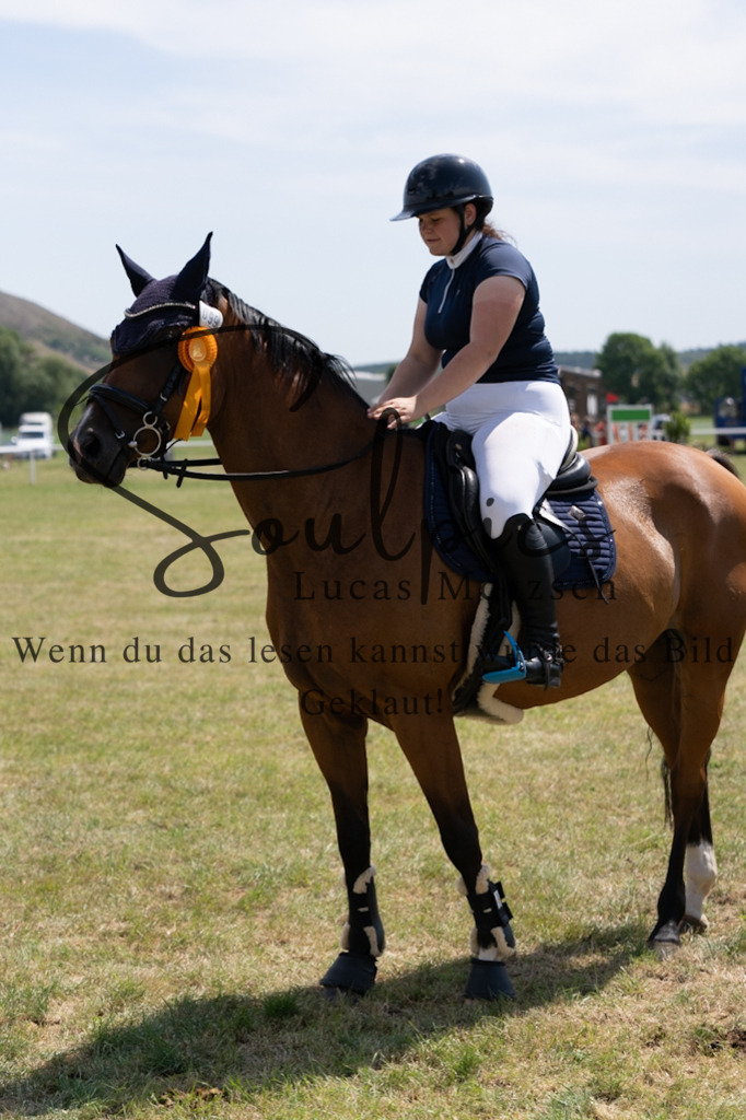 A7V01873 | Pferdefotograf