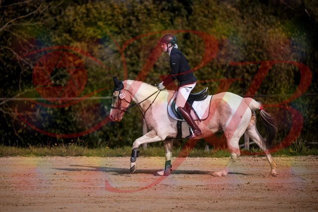 2026_10_03_Siefer-Hof_144251_Z81_16123689 | Professionelle Reitsport-, Turnier- und Eventfotografie von Robert Broda. Galerien mit ausgewählten und bearbeiteten Bildern direkt online ansehen und bestellen.