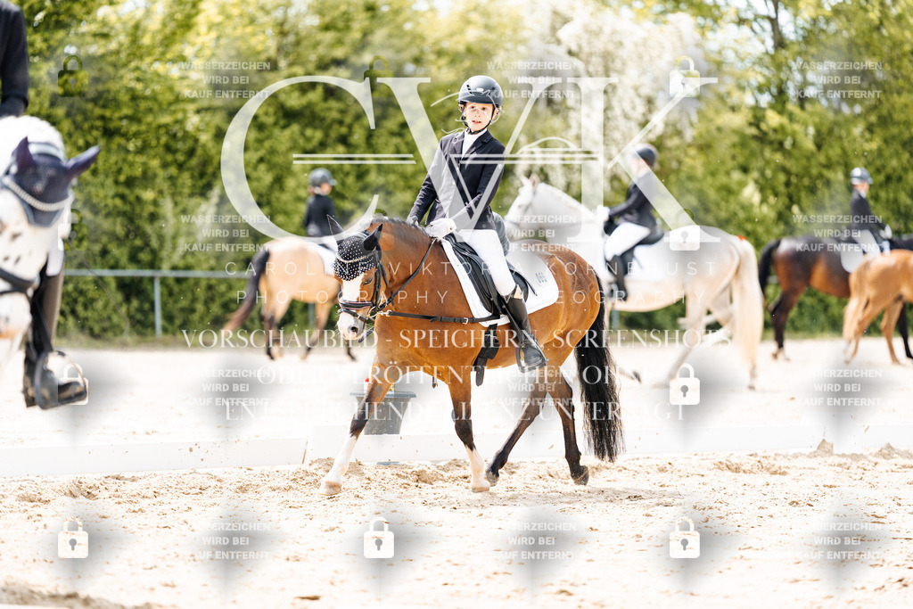 CK902336 | Turnierfotografie Pferdefotografie Trier Rheinland-Pfalz Pferdesport Reitsport Tierfotografie Sportfotografie Pferdevideo Pferdevideografie Equestrianvideography equestrianphotography  - Realisiert mit Pictrs.com