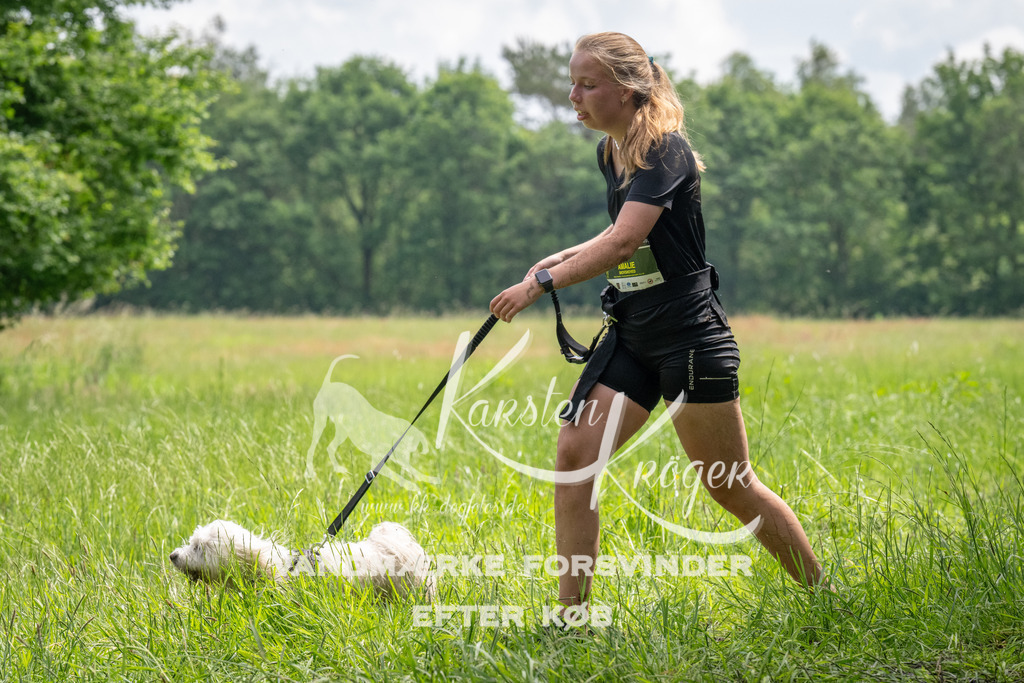 1128_ZZ93098 | kk-dogfotos