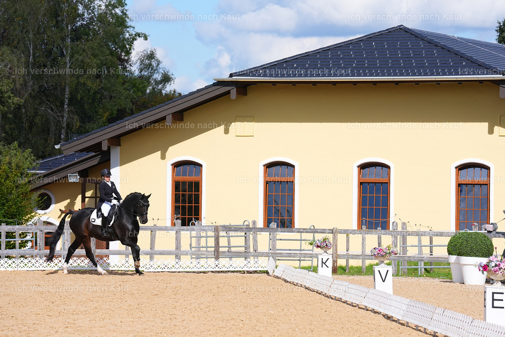 09_2-183-DRESSUR  S_  -Marixx-5991 | working equitationturnier fotograf videograf stoibphotography marixx film working equitation deutschland reitsport turnierfotografie eventfotografie equestrian events