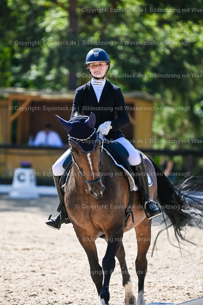 20230908_06_Dressur-L-Trense_0452 | equistock