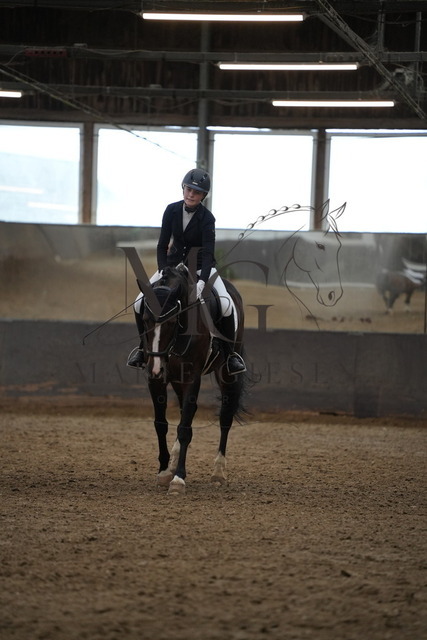 DSC06703 | Marie Giesen Fotografie - Realisiert mit Pictrs.com