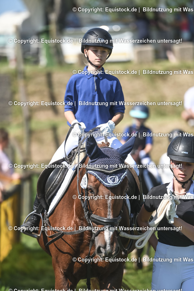 20230910_11-3_Führzügel-WB_0089 | Foto: Thomas Hartig
