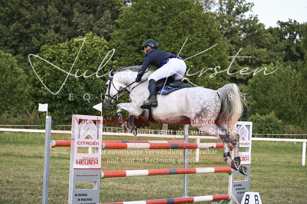 DSC_1727 | Pferde- und Turnierfotografie in Westsachsen. Pferdeportraits, Auftragszeichnungen und intuitive Kunst.