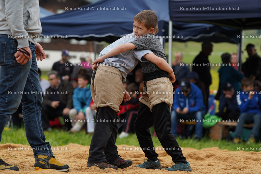 20220423-DSC08436 (2) | René Burch leidenschaftlicher Fotograf aus Kerns in Obwalden.  Hier finden sie Sport, Landschaft und Natur Fotografie.
 - Realisiert mit Pictrs.com