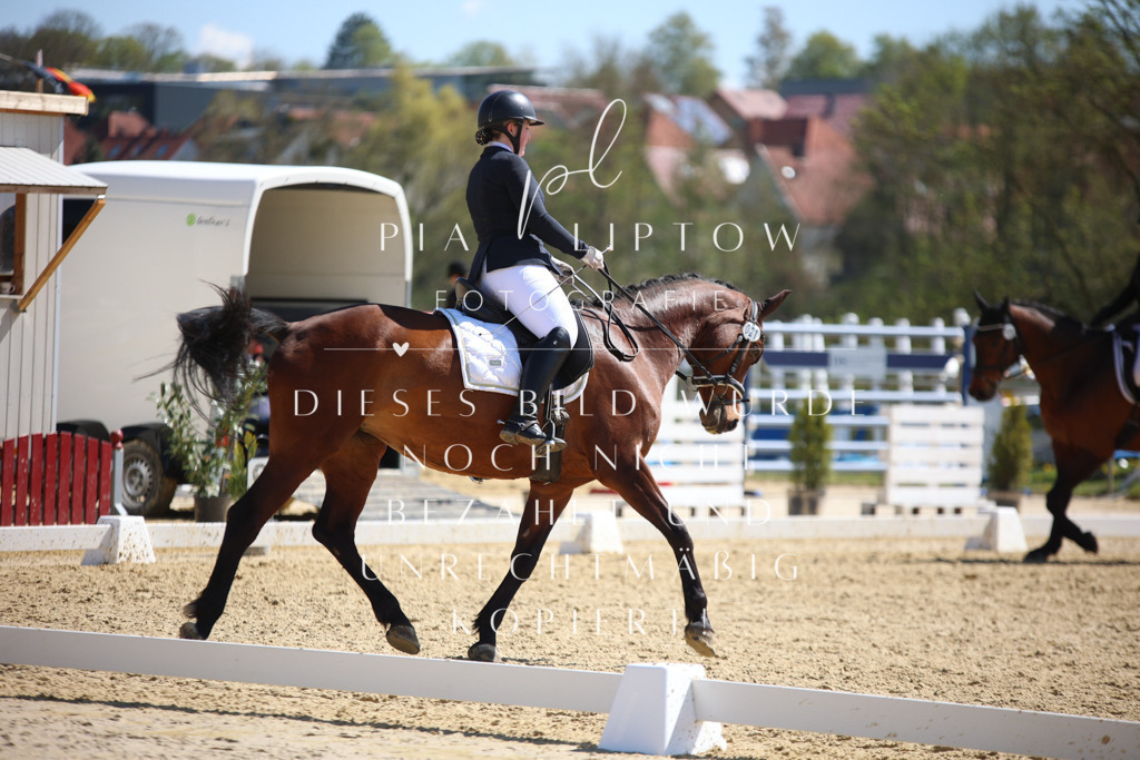 IMGT1579 | pl-fotografie