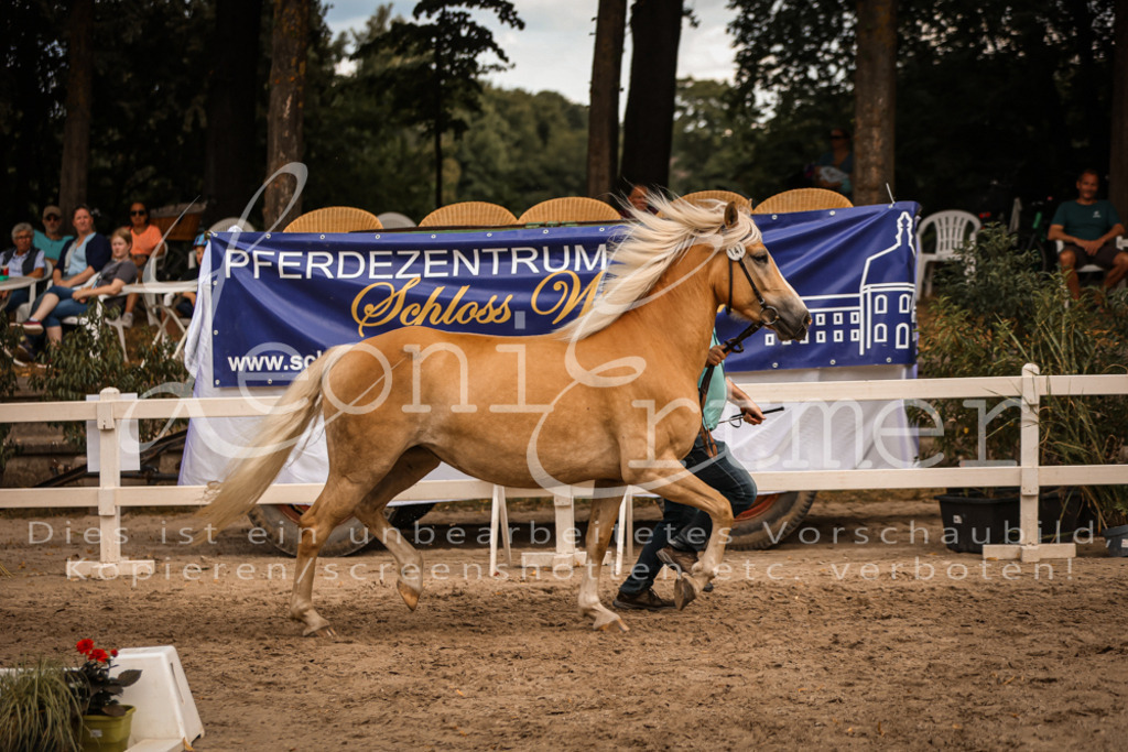 06.So00092 | Leoni Ertmer Photography - Realisiert mit Pictrs.com