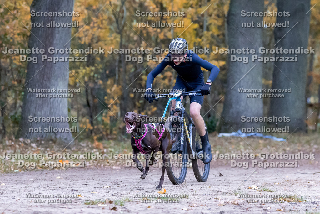 Dog Paparazzi - SD CaniX Championship 2025-293 | Dog Paparazzi Jeanette Grottendiek Fotografie & Videografie - Realisiert mit Pictrs.com