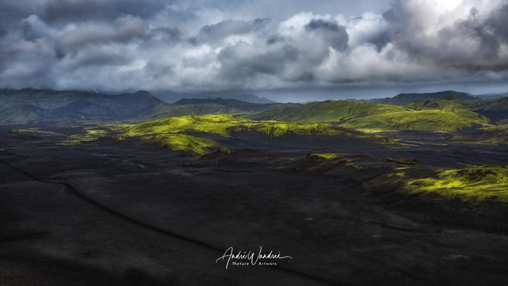 Grün und Schwarz | Andre Wandrei - Nature Artworx - Realisiert mit Pictrs.com
