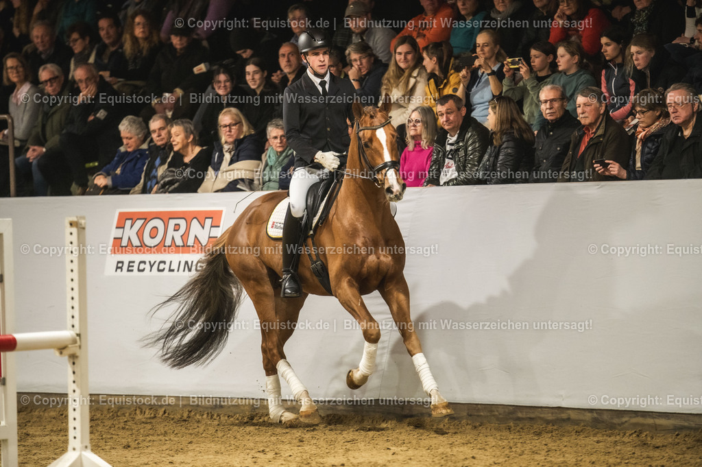 20240302_Hengstvorstellung_Marbach_TOMsPiC_0345 | equistock