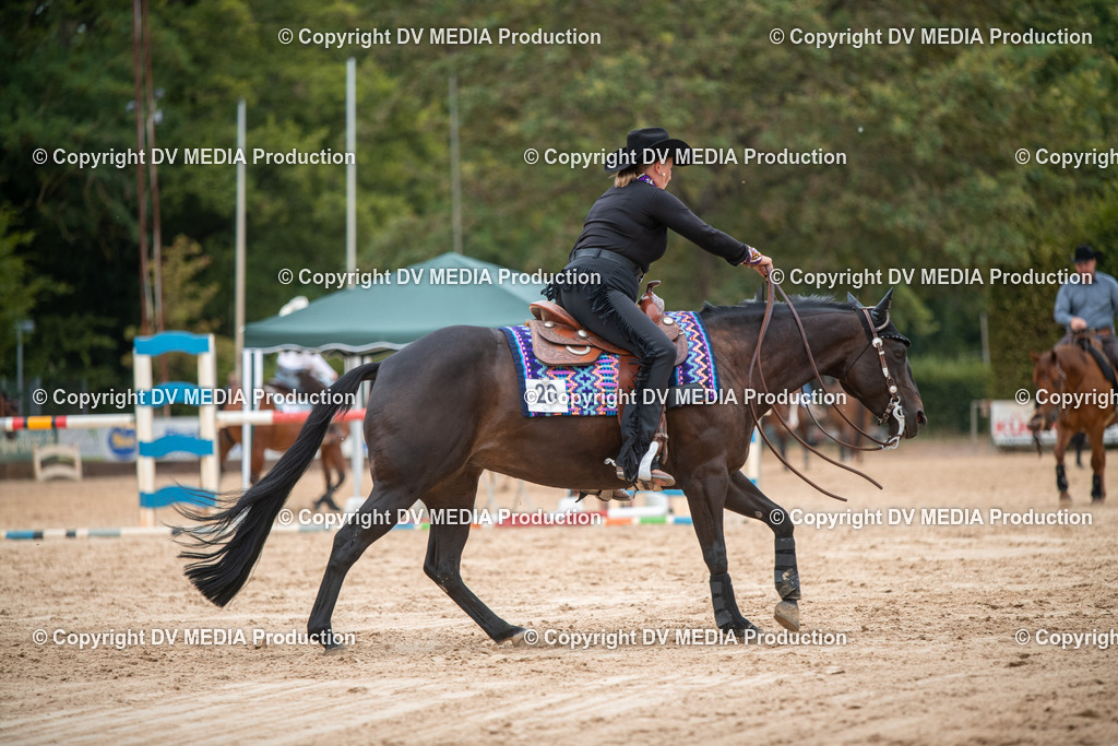 ZS2_8460 | dv-media-shop - Realisiert mit Pictrs.com