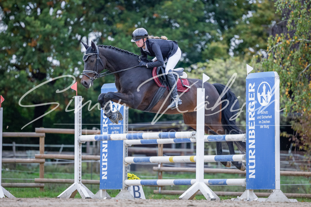 20251012-_3LI5120 | Tierfotografie Pferde, Hunde, Katzen, Haustiere.
Turnierfotografie Reitturniere, Reiten, Springreiten, Dressur in Hanau, dem Main-Kinzig-Kreis und dem Rhein-Main- Gebiet um Frankfurt
