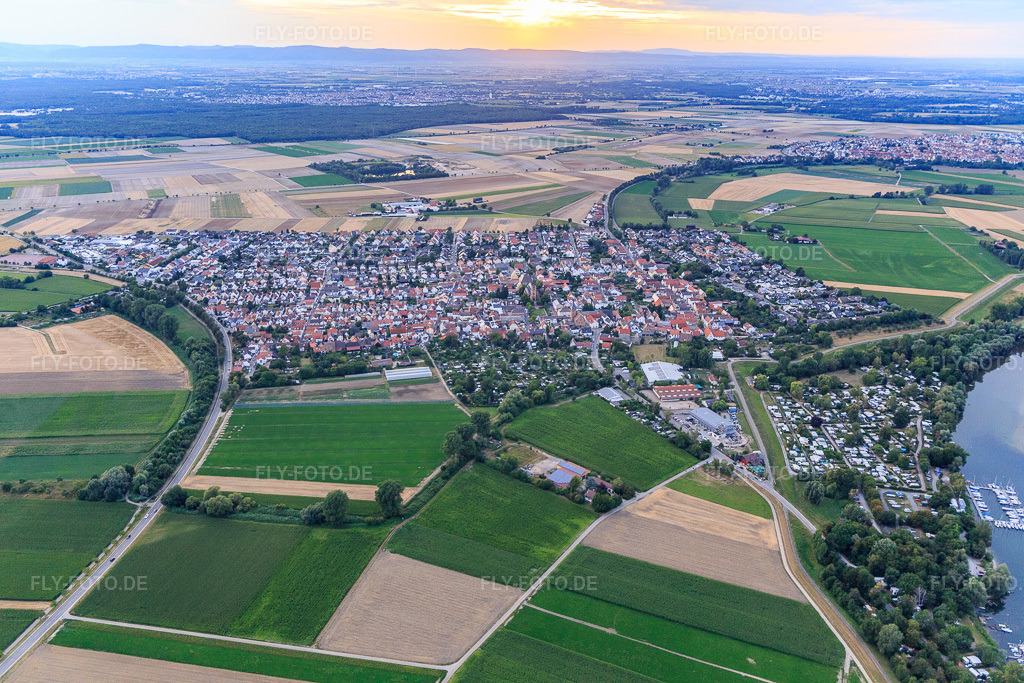 Luftbild: Ortsübersicht von Süden am Otterstädter Altrhein in Otterstadt im Bundesland Rheinland-Pfalz in Deutschland. Foto: IMG_121076.jpg vom 25.07.2020 durch Werner Riehm/FLY-FOTO.de
