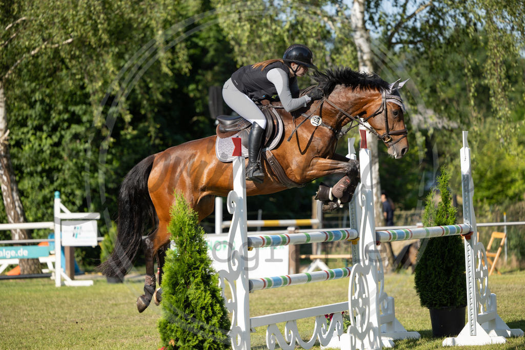 994A4086 | sabrinanicolaifotografie - Realisiert mit Pictrs.com